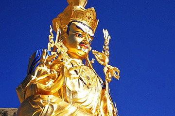 金陵奇异果体育