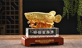 金陵奇异果体育